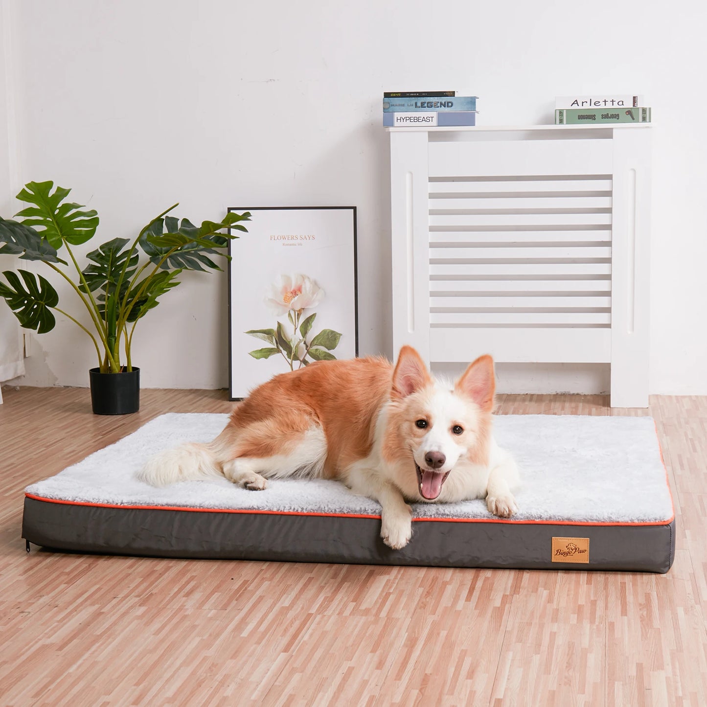 BINGOPAWCN Orthopedic Dog Bed Waterproof With Memory Foam