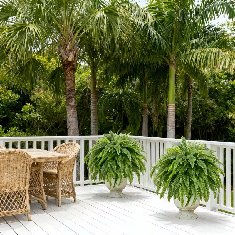 Elegant Boston Fern Decor 2 Piece Artificial Plants for Hanging