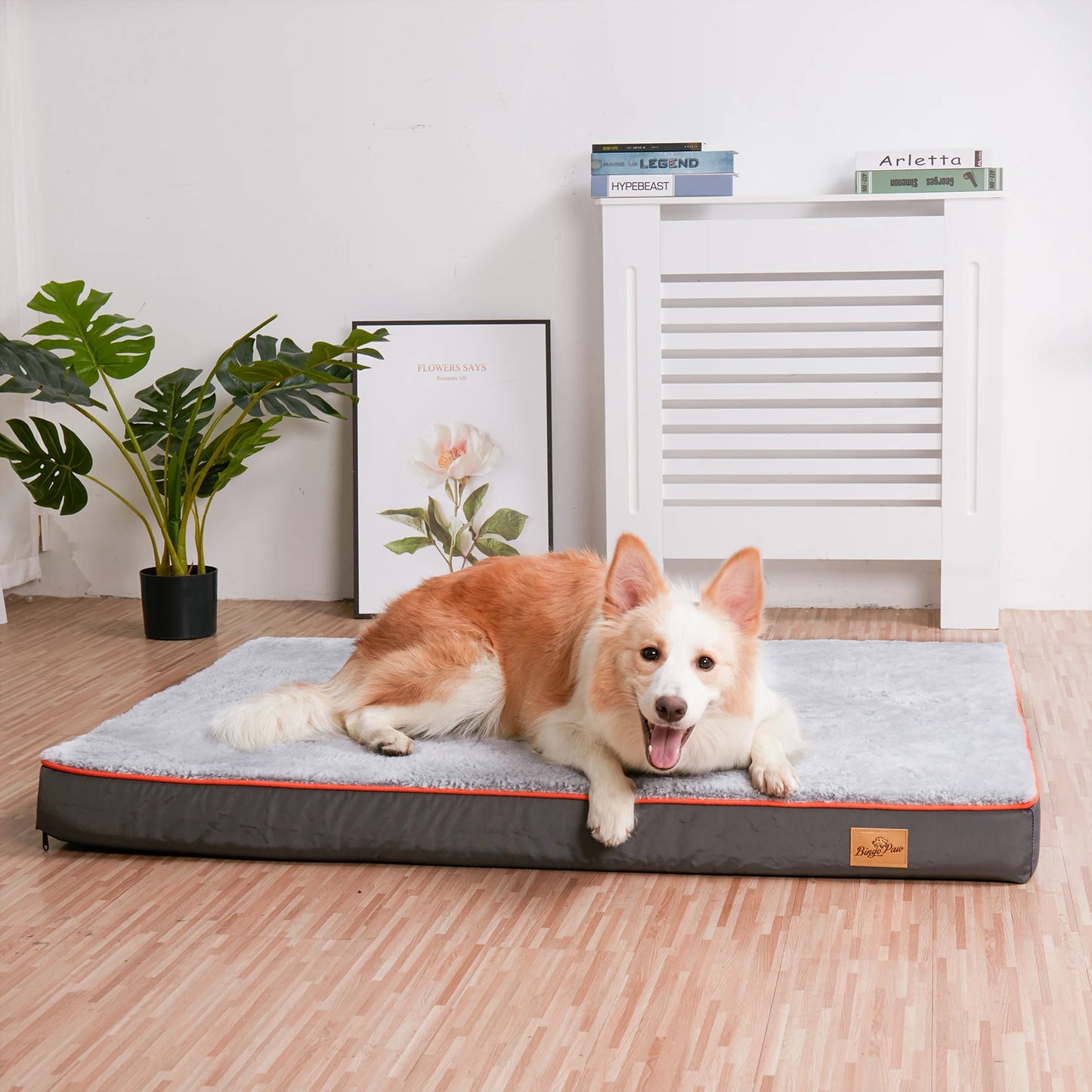 BINGOPAWCN Orthopedic Dog Bed Waterproof With Memory Foam