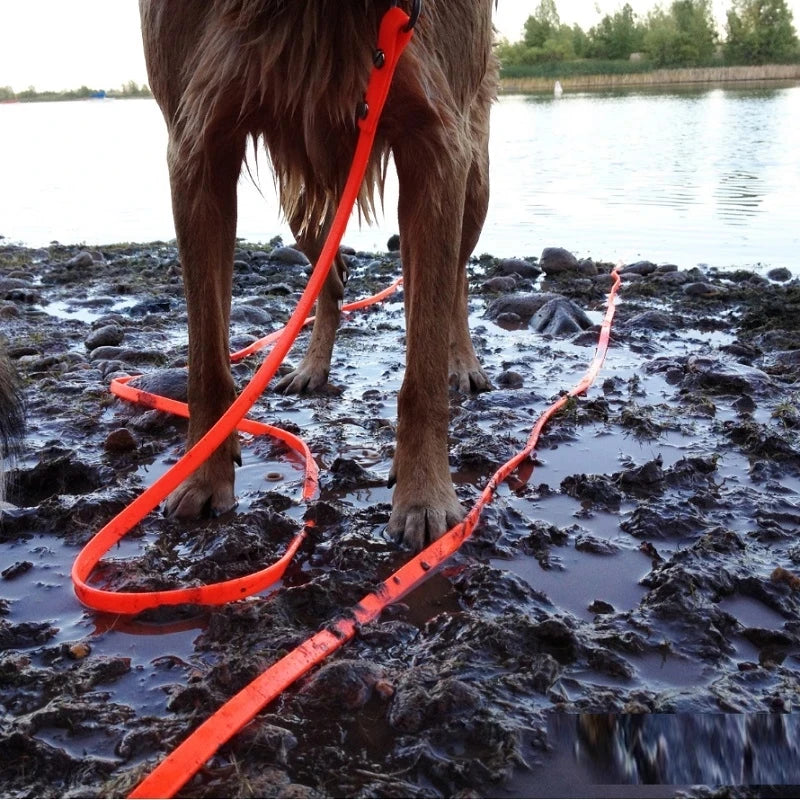 Waterproof Dog Leash Plastic Easy Clean Rope For Walking