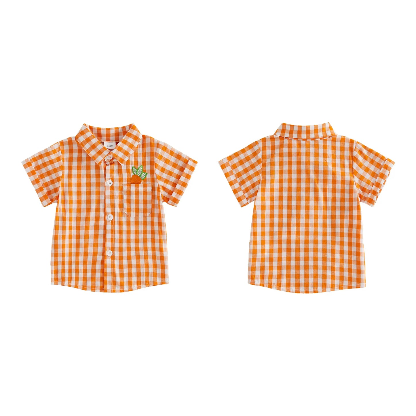 Toddler Easter Outfit Set With Bunny Embroidered Shirt And Plaid Shorts