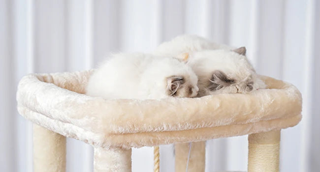 NONECN Cat Tree Heavy Duty Multi Level Plush Condo