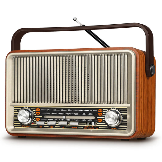Prunus J-120 Portable AM FM Radio Bluetooth Speaker