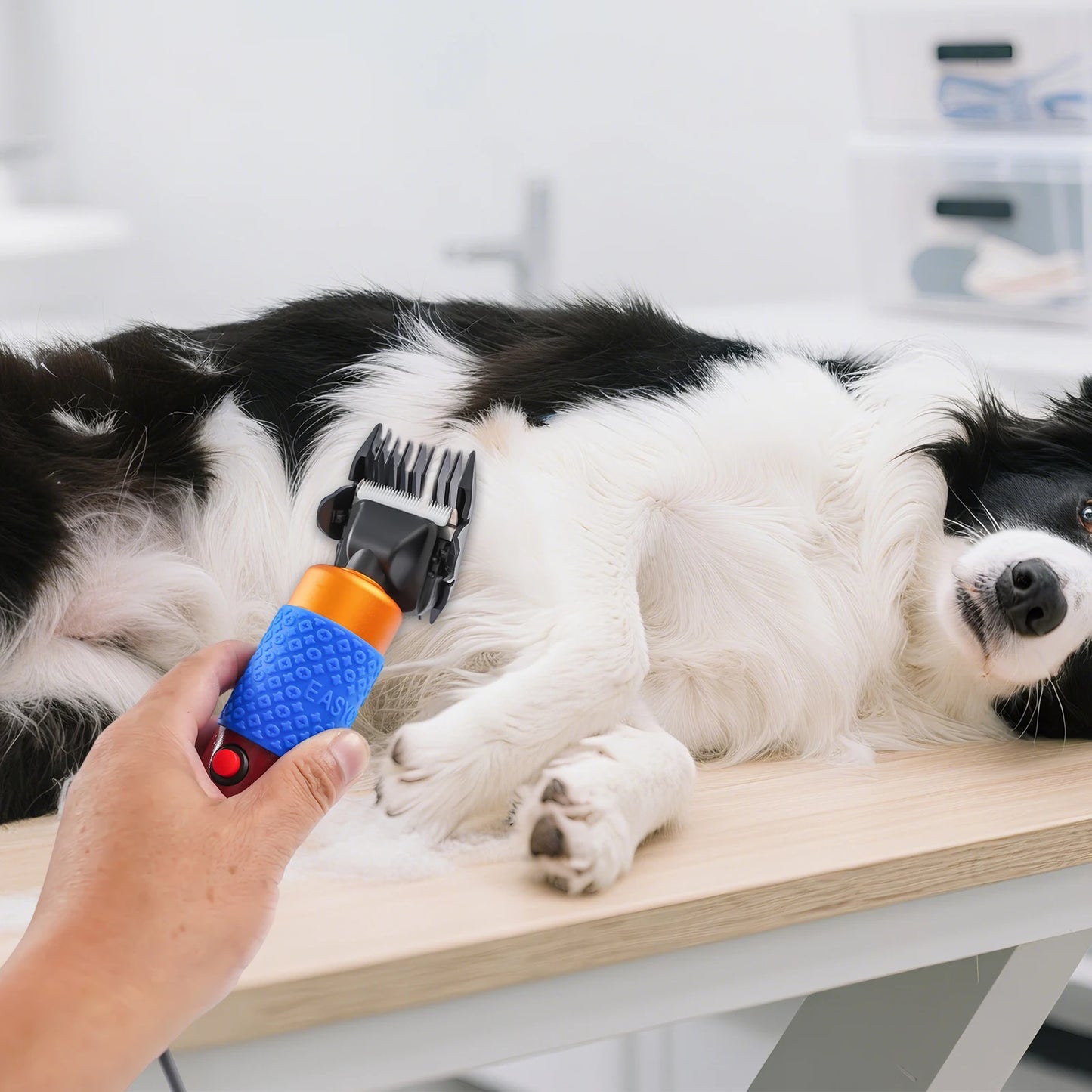 36W Professional Dog Cat Hair Clipper With Detachable Blades