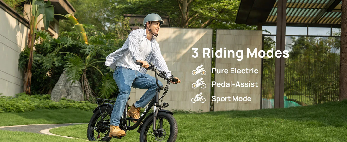 URLIFE E20 1000W Electric Bike With 48V 13Ah Removable Battery