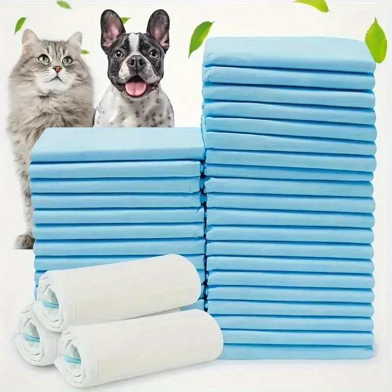 Odor Control Disposable Dog Diapers And Training Pads For Puppies