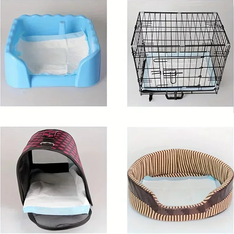 Odor Control Disposable Dog Diapers And Training Pads For Puppies