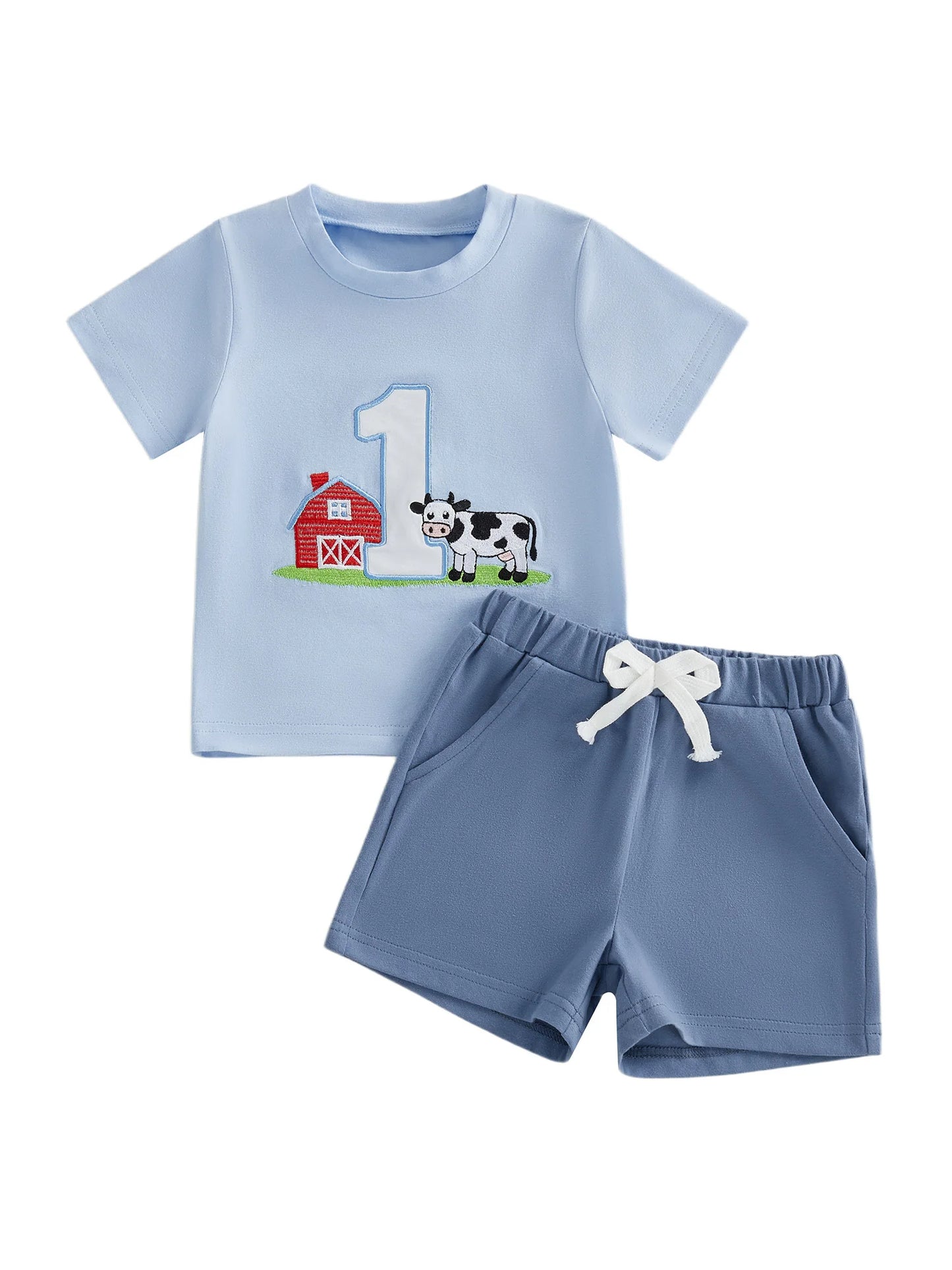 Cute Toddler Embroidered Number Horse Birthday Shirt And Pants Set