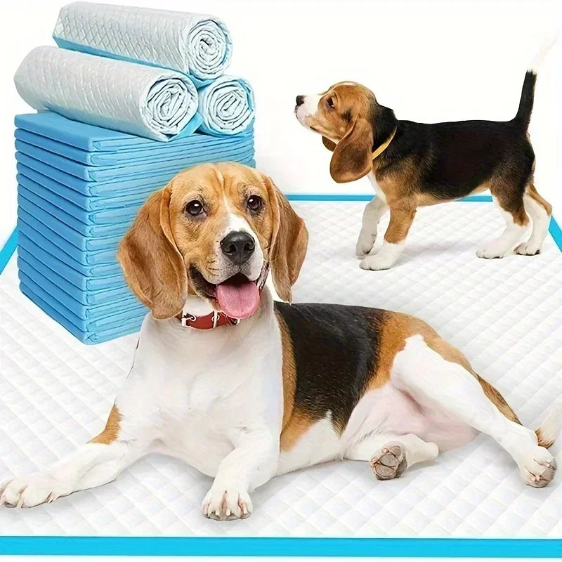 Odor Control Disposable Dog Diapers And Training Pads For Puppies