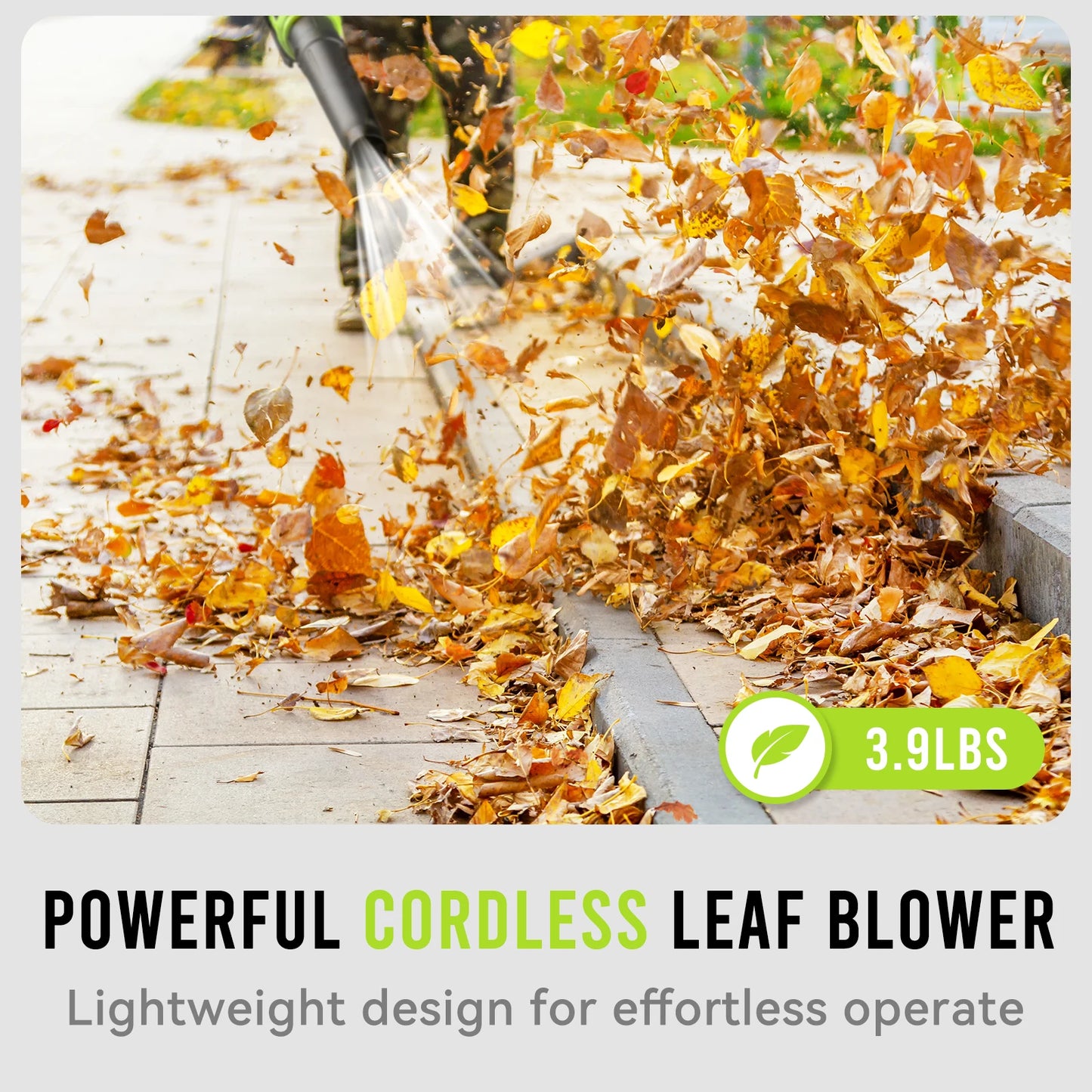 Deli 21V Cordless Leaf Blower 4.0Ah Battery Packs And Charger