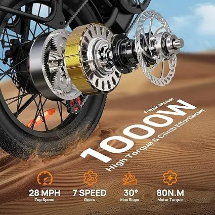 URLIFE E20 1000W Electric Bike With 48V 13Ah Removable Battery