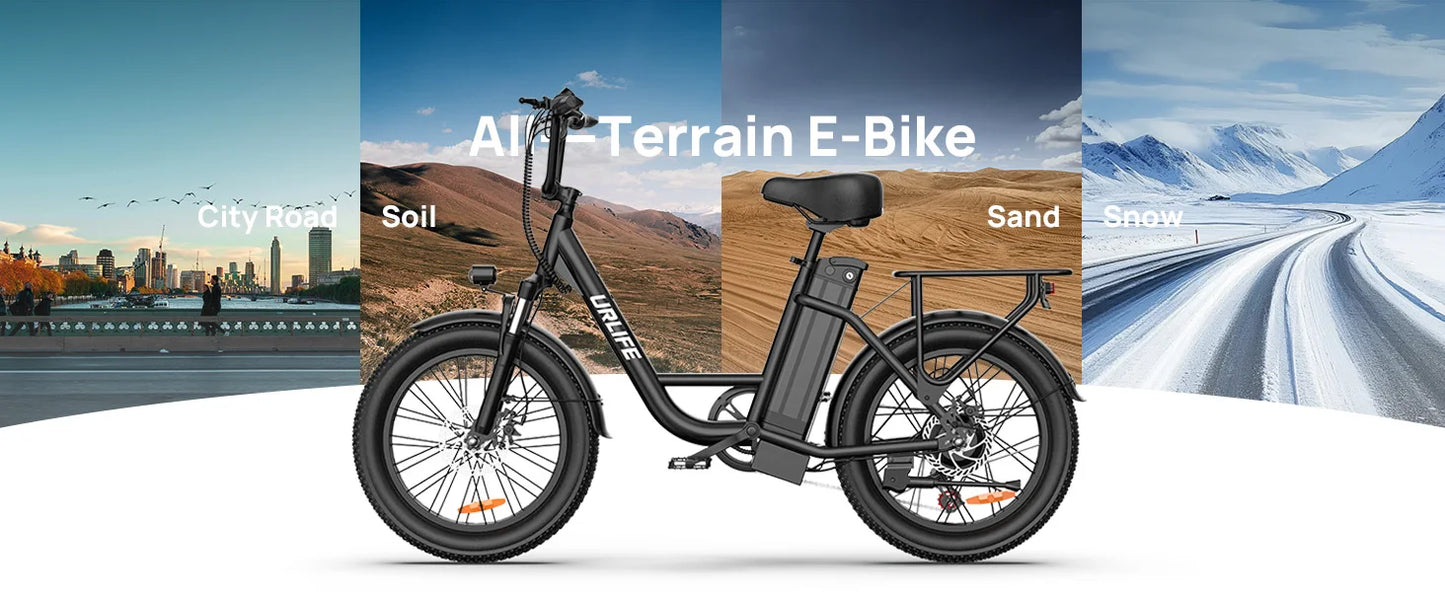 URLIFE E20 1000W Electric Bike With 48V 13Ah Removable Battery