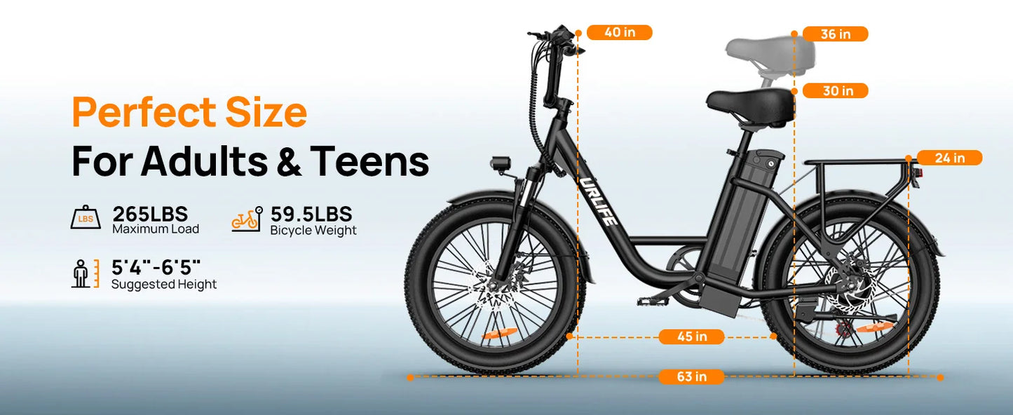 URLIFE E20 1000W Electric Bike With 48V 13Ah Removable Battery