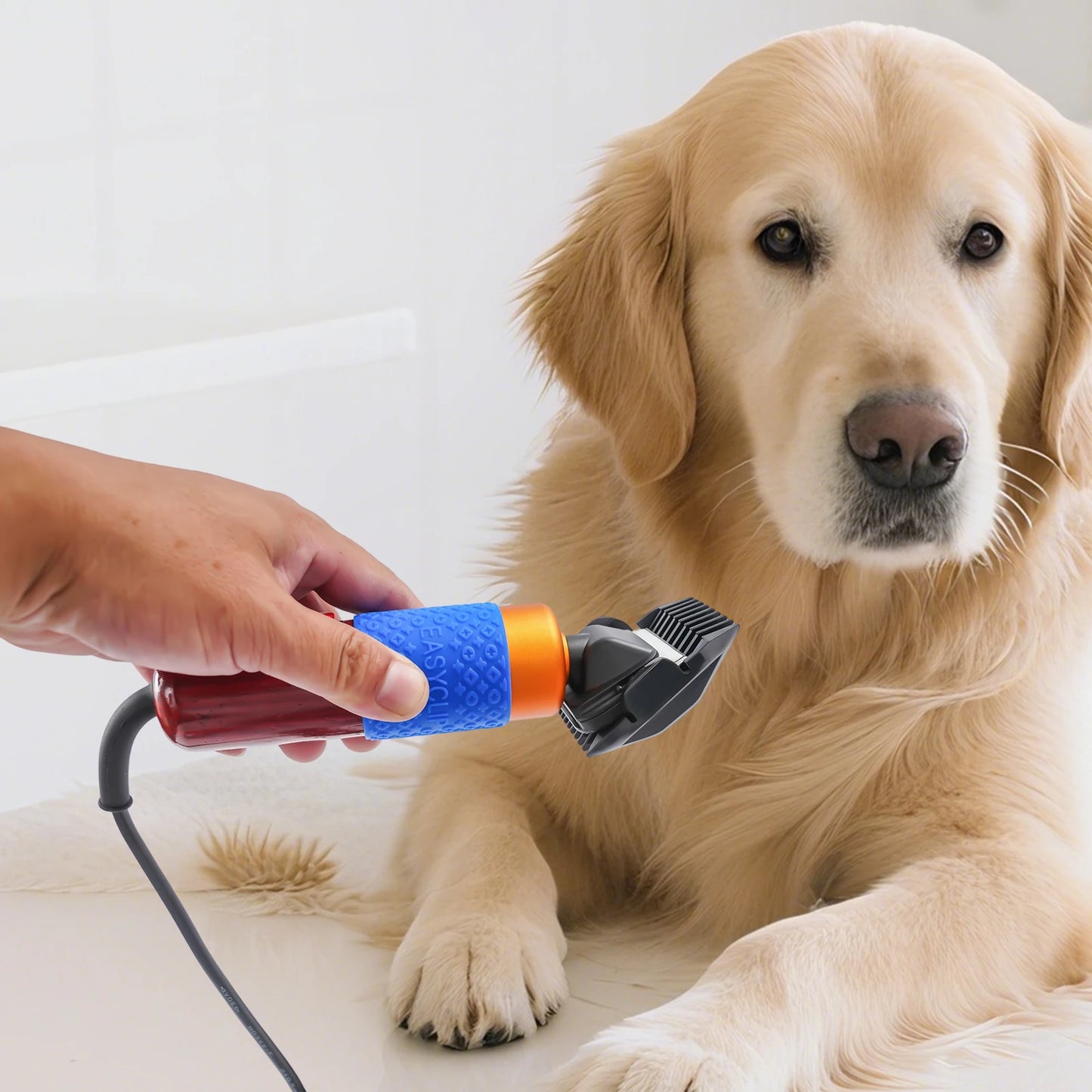 36W Professional Dog Cat Hair Clipper With Detachable Blades