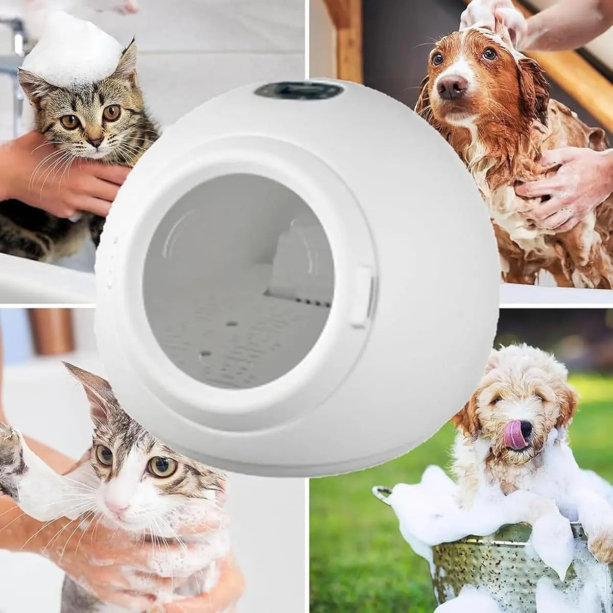 Ultra Quiet Automatic Pet Dryer Box Adjustable Temperature & Time Control Home Use Cat Dog Drying Machine, Custom