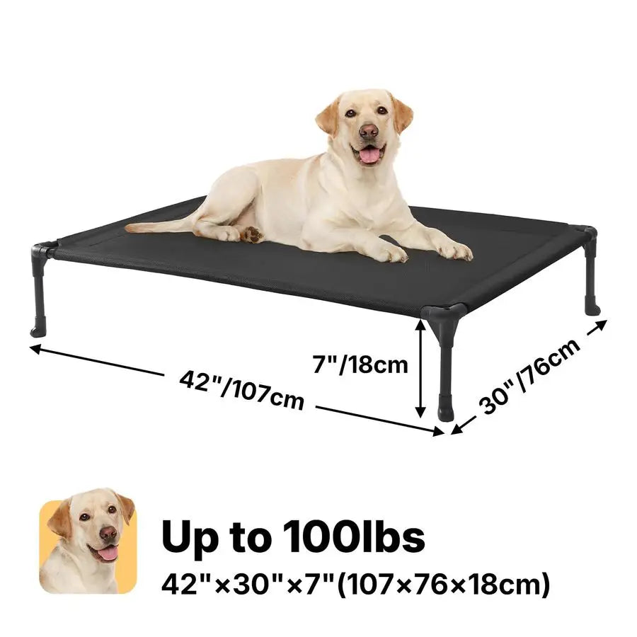 Outdoor Elevated Dog Bed Raised Cot Breathable for Breeds