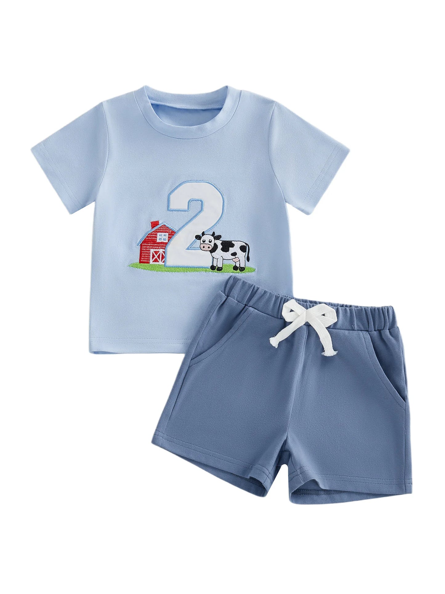 Cute Toddler Embroidered Number Horse Birthday Shirt And Pants Set