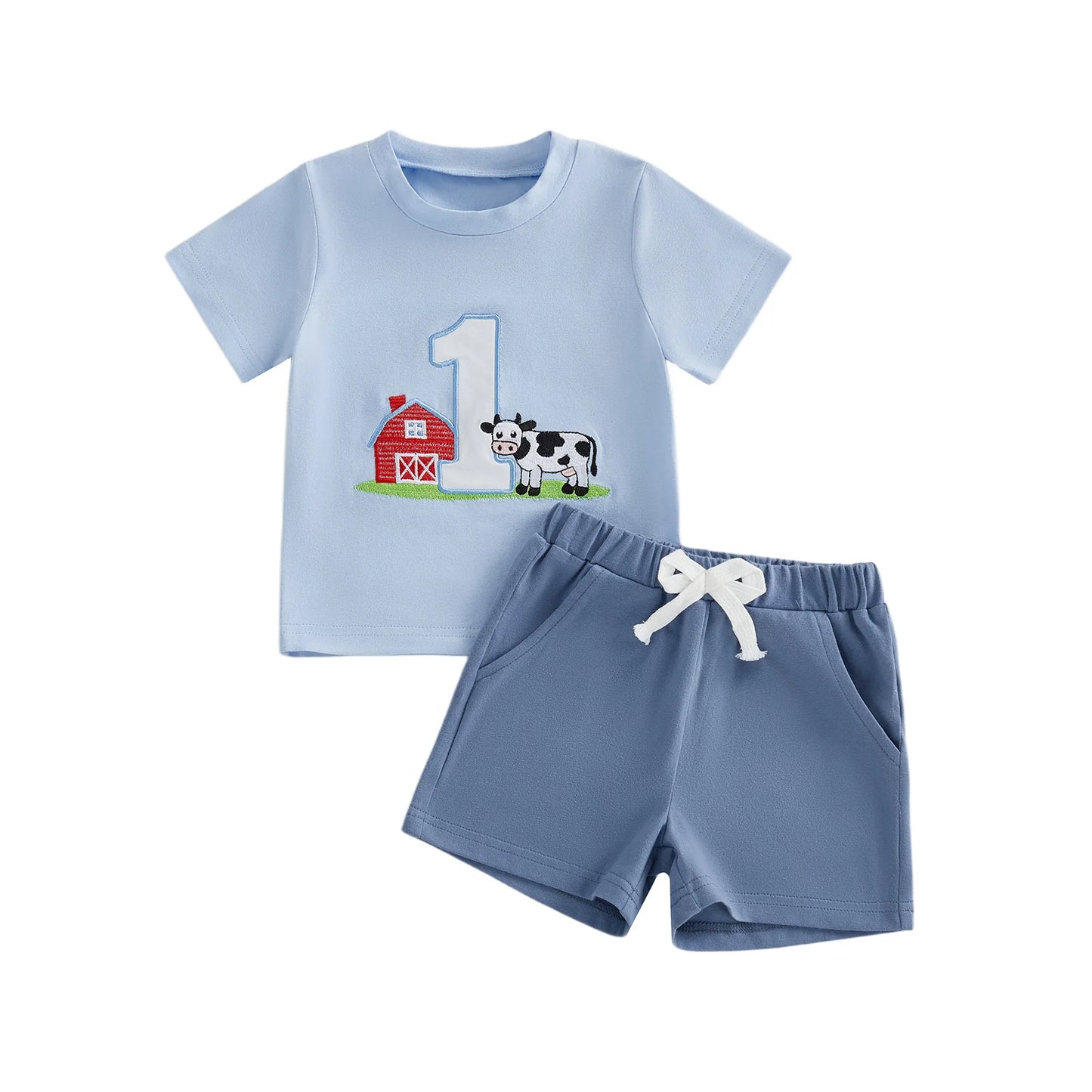 Cute Toddler Embroidered Number Horse Birthday Shirt And Pants Set
