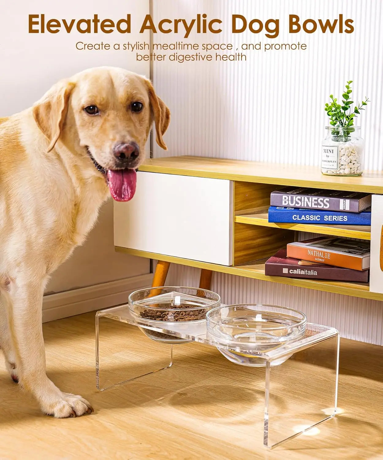 Elevated Pet Feeder With Removable Bowls For Large Dogs