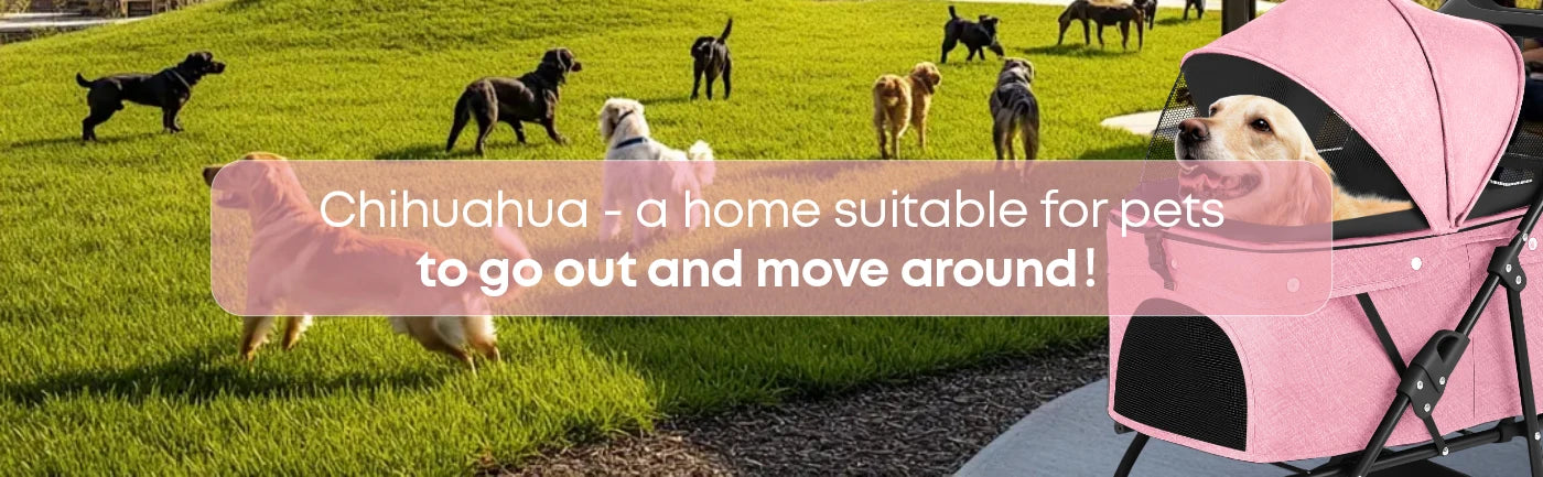Chihuahua Pet Stroller For Dogs And Cats Foldable Portable