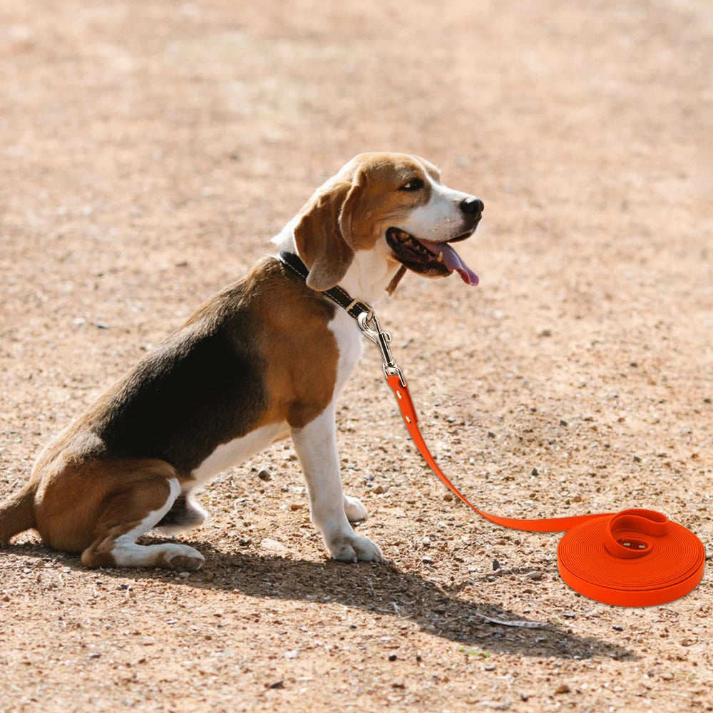 Waterproof Dog Leash Plastic Easy Clean Rope For Walking