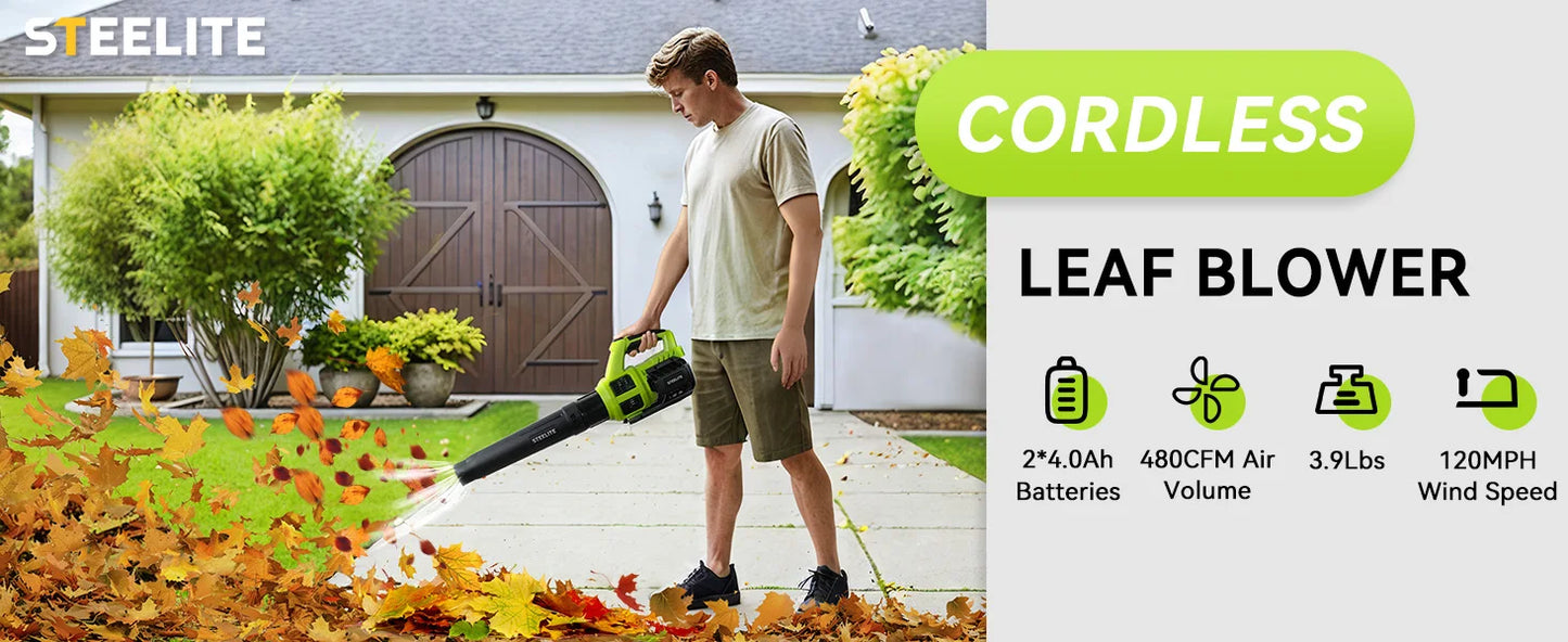 Deli 21V Cordless Leaf Blower 4.0Ah Battery Packs And Charger