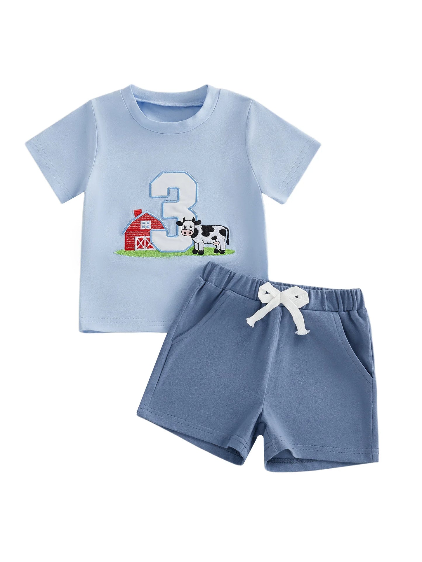 Cute Toddler Embroidered Number Horse Birthday Shirt And Pants Set