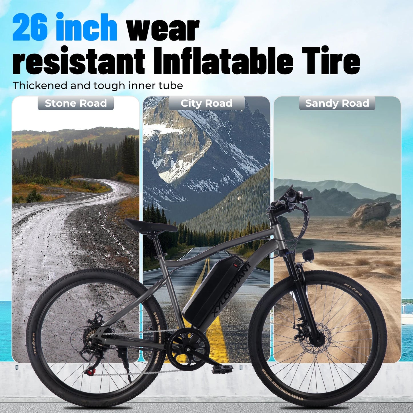 Terrosor Electric Mountain Bike Fat Tire 350W Peak 19.9Mph