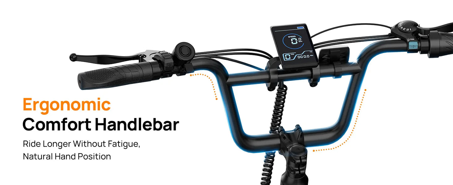 URLIFE E20 1000W Electric Bike With 48V 13Ah Removable Battery