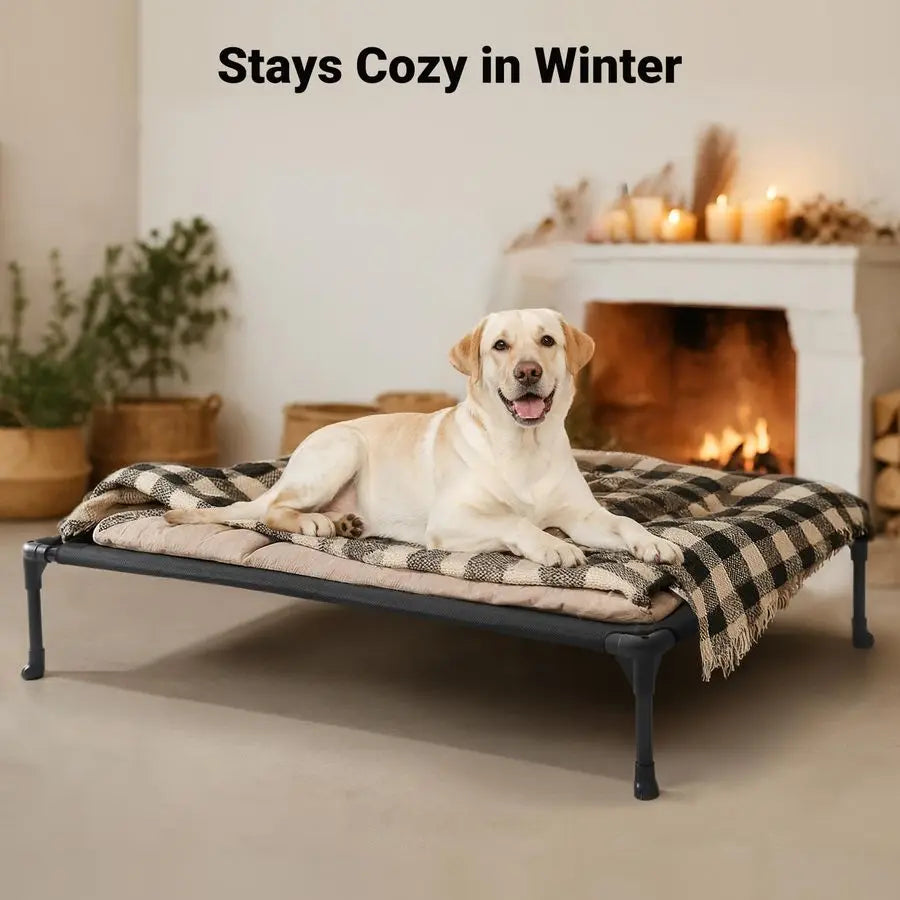 Outdoor Elevated Dog Bed Raised Cot Breathable for Breeds