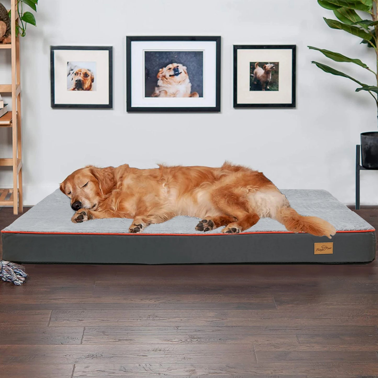 BINGOPAWCN Orthopedic Dog Bed Waterproof With Memory Foam