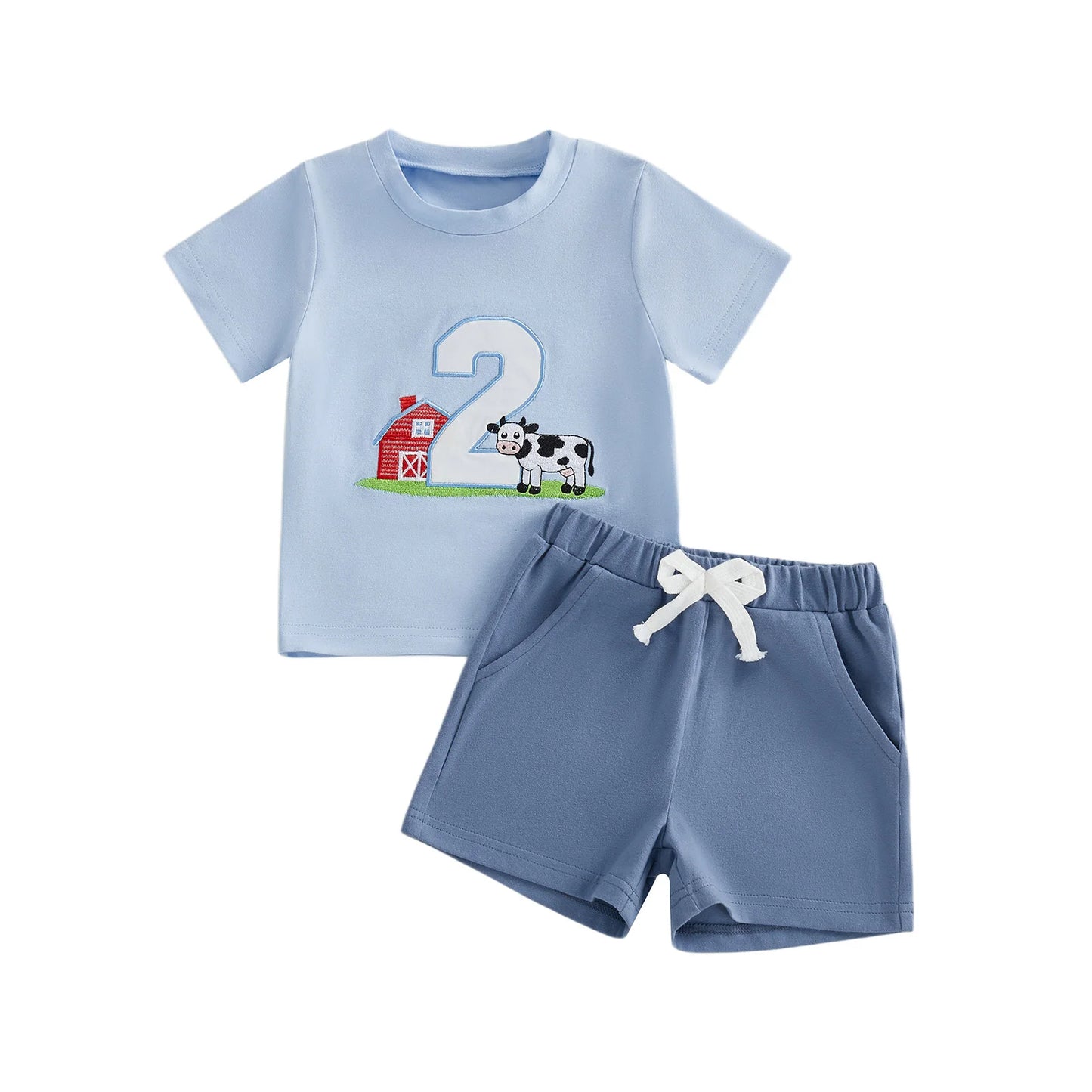 Cute Toddler Embroidered Number Horse Birthday Shirt And Pants Set