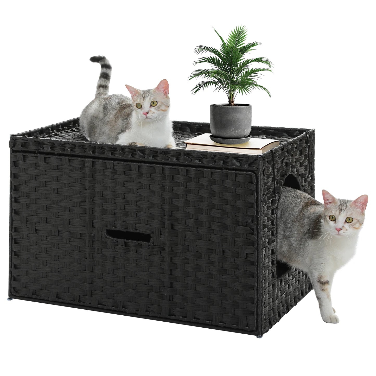 PAWZ Road Rattan Cat Litter Box Enclosure With Door