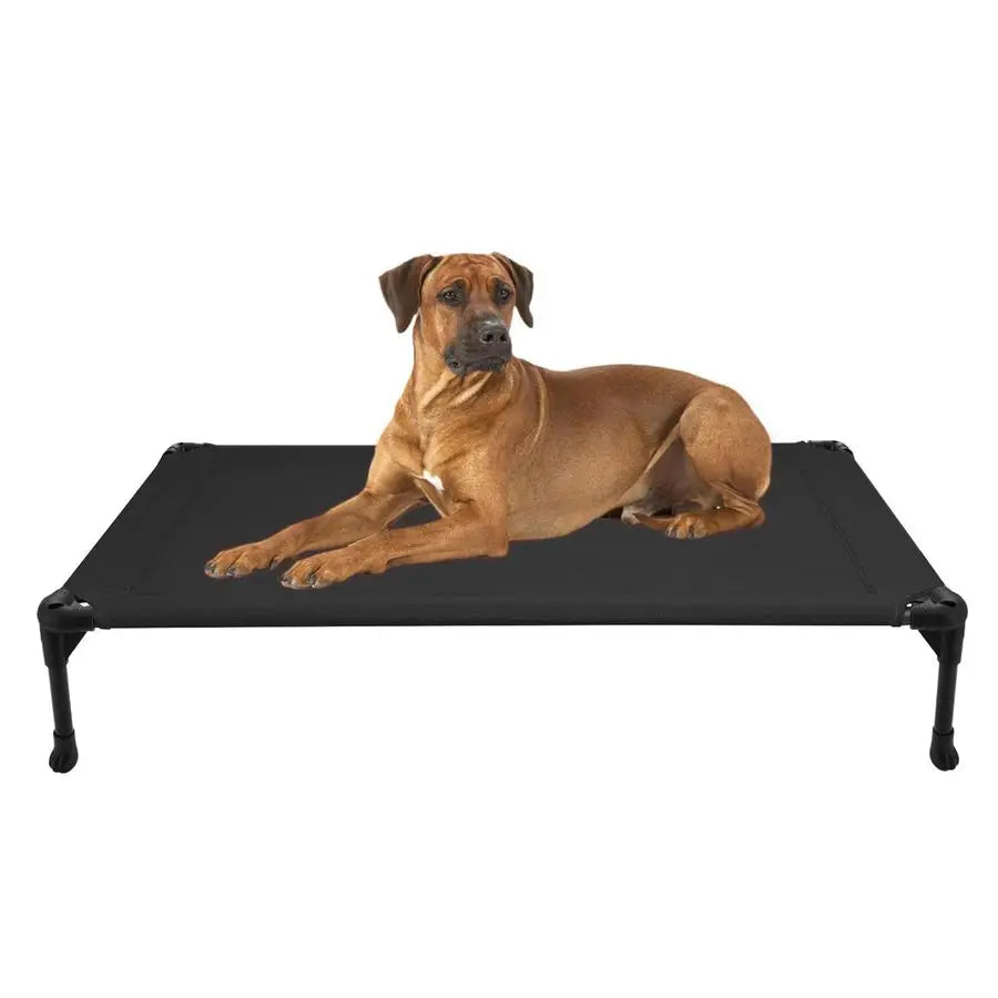 Outdoor Elevated Dog Bed Raised Cot Breathable for Breeds
