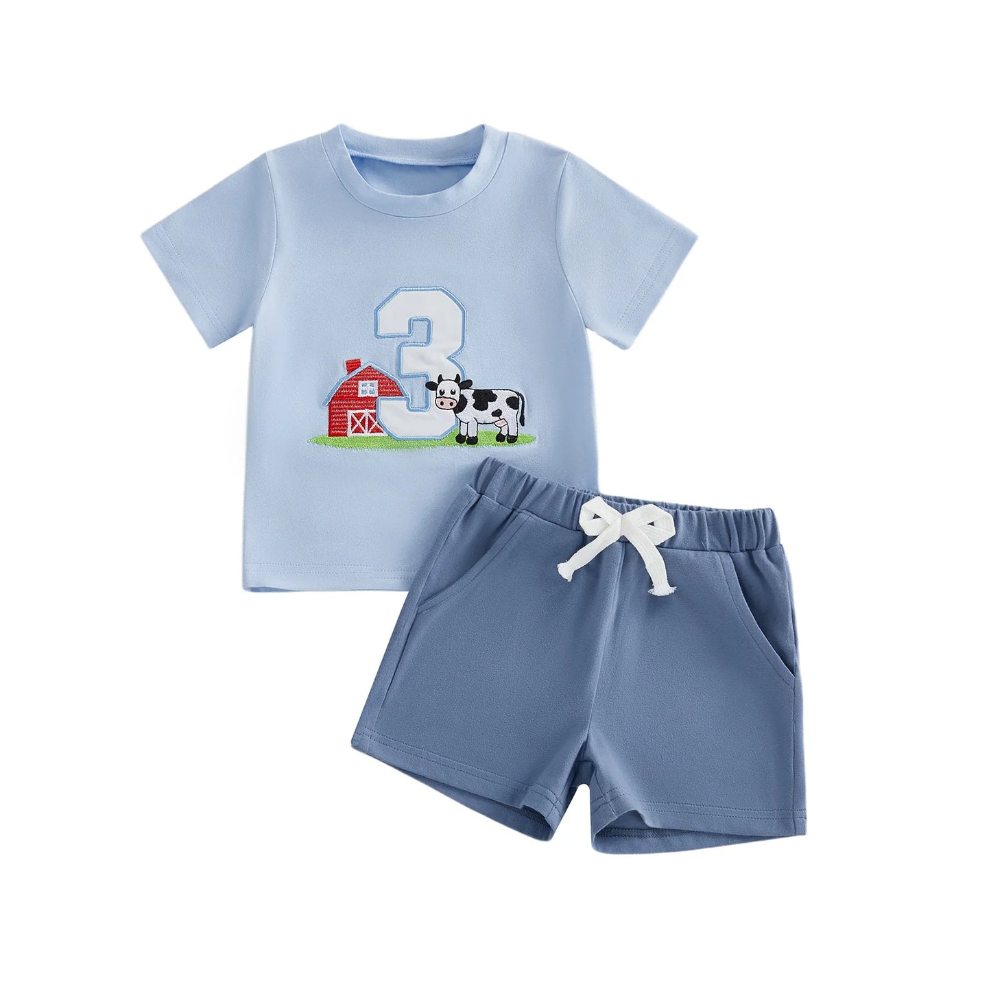 Cute Toddler Embroidered Number Horse Birthday Shirt And Pants Set