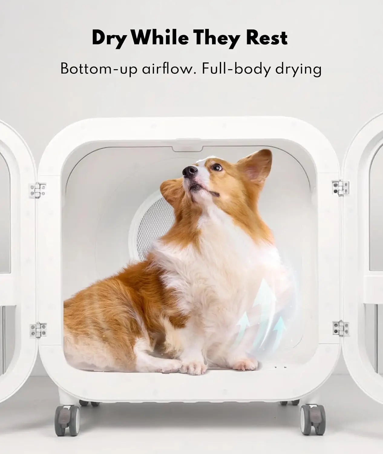 135L Pet Dryer Box Ultra-Quiet Smart Temp Control 360° Hands-Free Safe Drying Dogs Cats Multi-Pet, Custom
