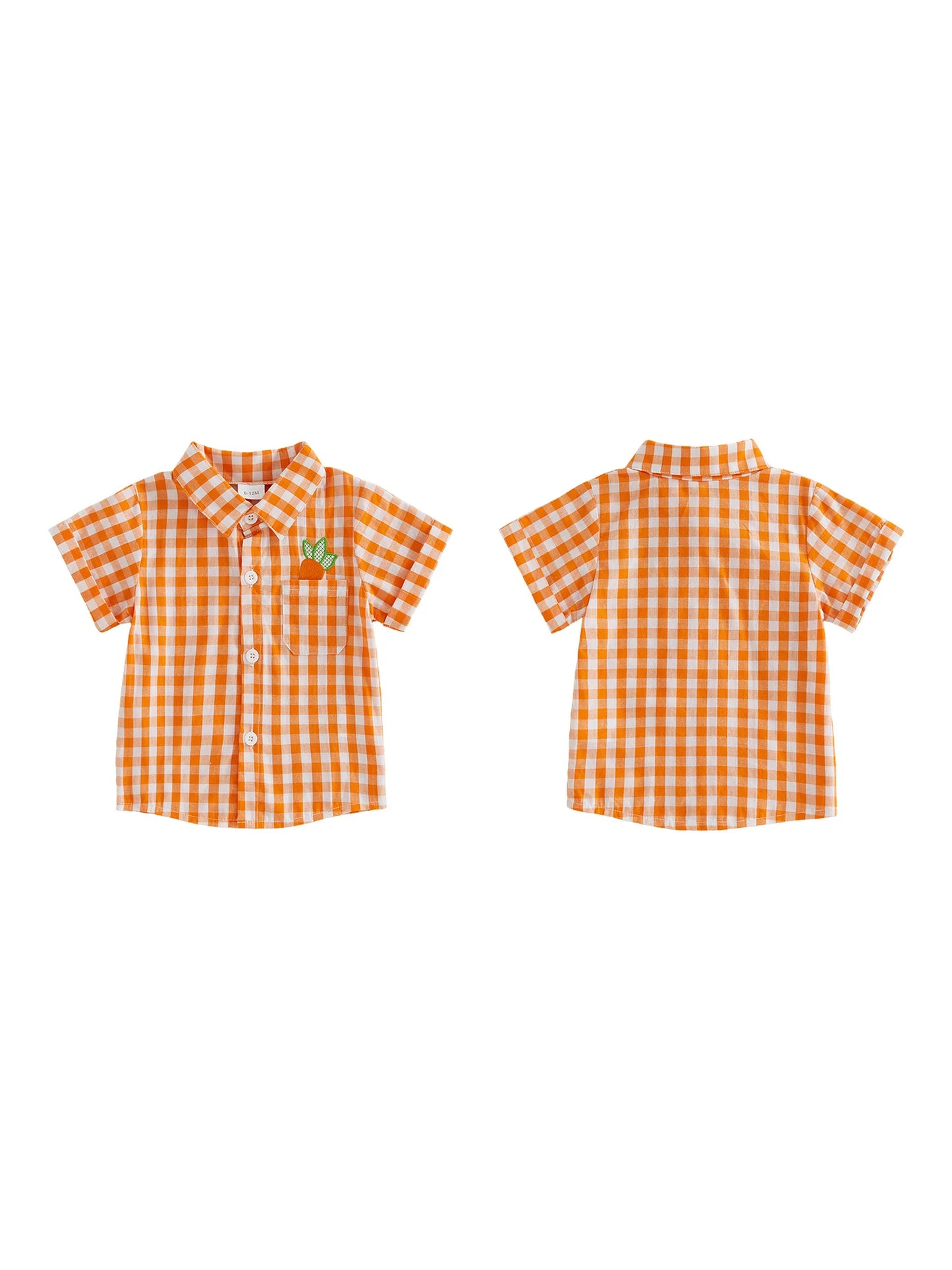 Toddler Easter Outfit Set With Bunny Embroidered Shirt And Plaid Shorts
