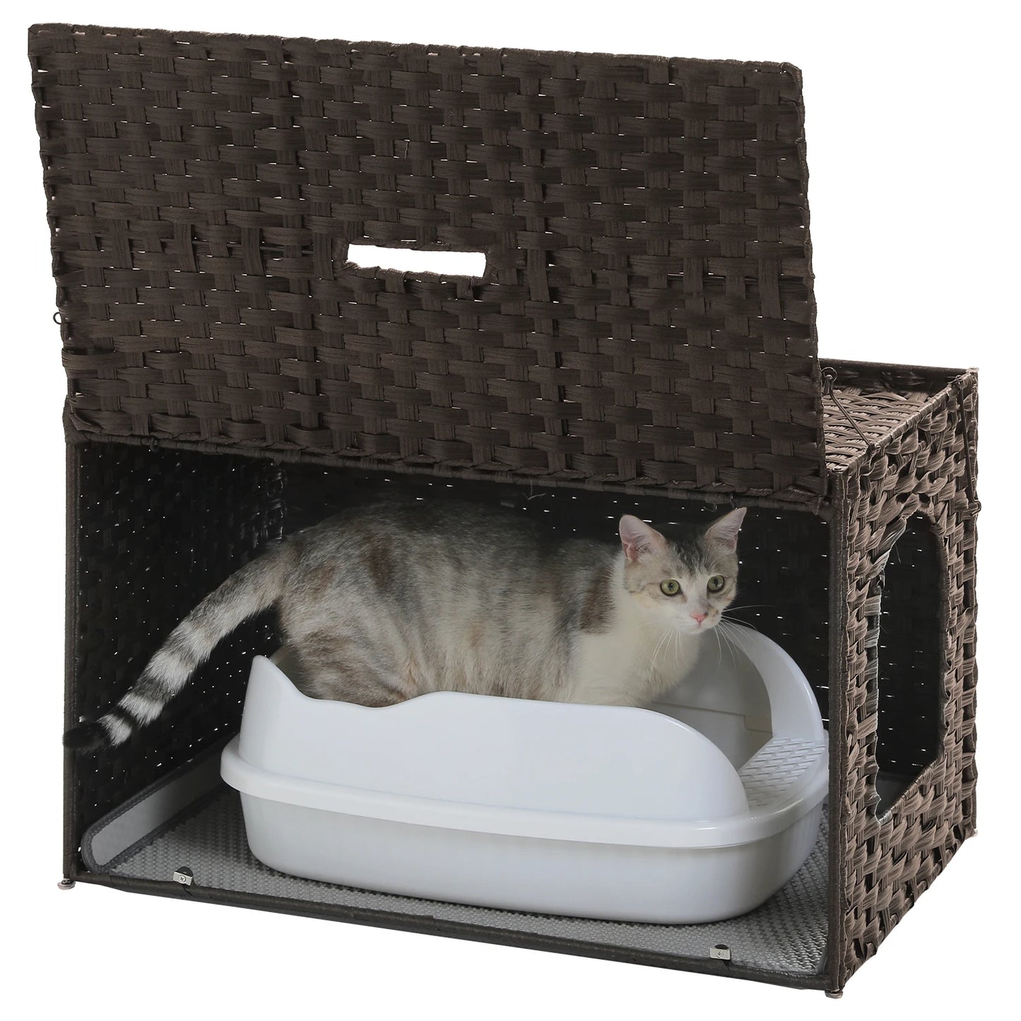 PAWZ Road Rattan Cat Litter Box Enclosure With Door