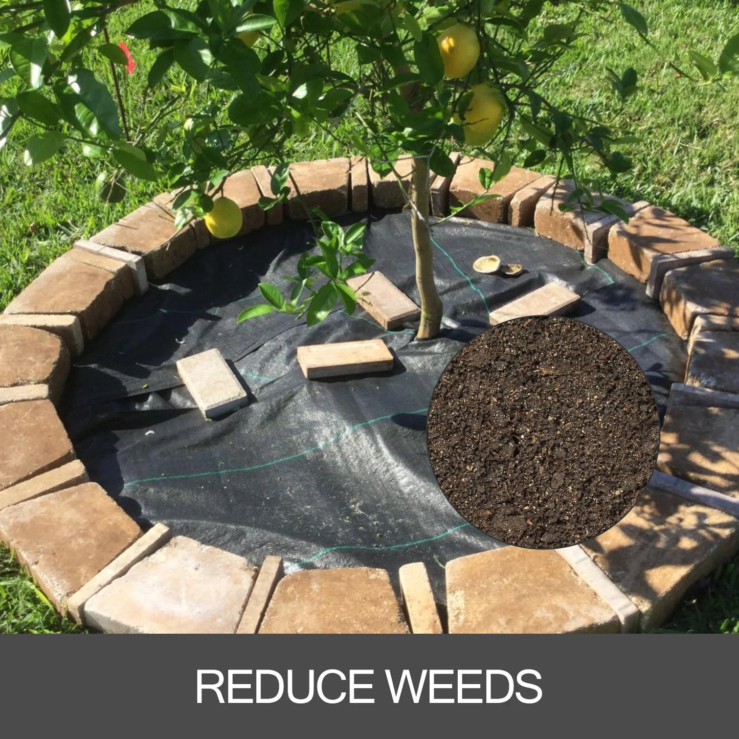 SucceBuy Landscape Fabric Heavy Duty Weed Barrier for Ground Cover