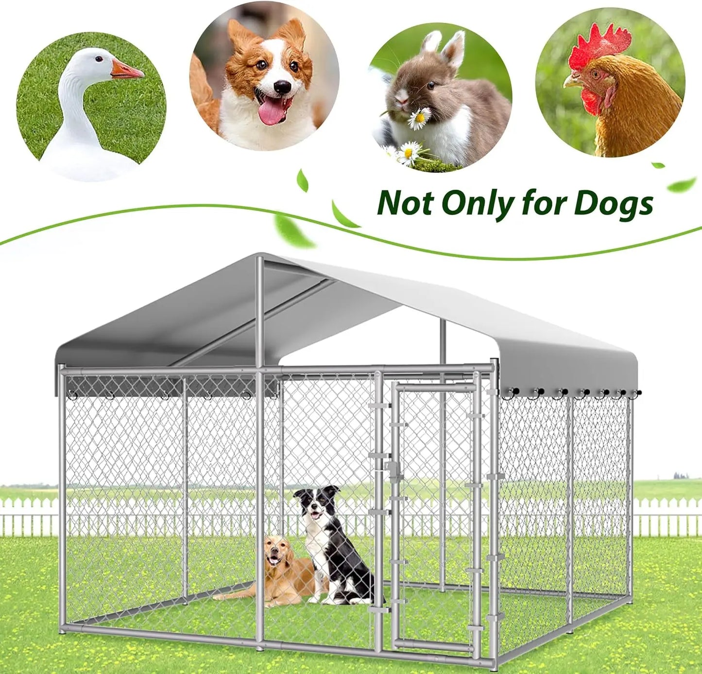 Outdoor Dog Kennel With Roof Anti-Rust Galvanized Chain Link Enclosure
