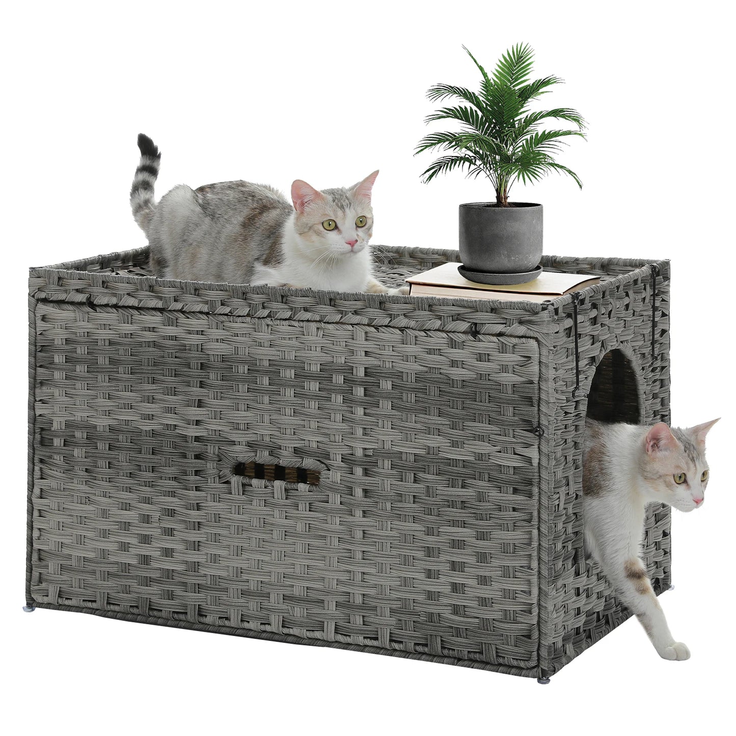 PAWZ Road Rattan Cat Litter Box Enclosure With Door