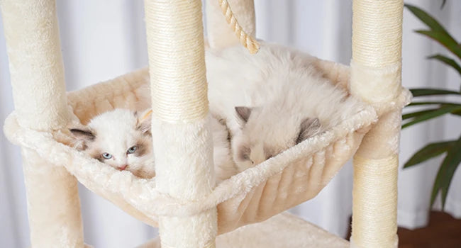 NONECN Cat Tree Heavy Duty Multi Level Plush Condo